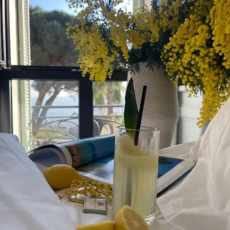 Otel Eden Rose Grand Bw Premier Collection Bormes-les-Mimosas